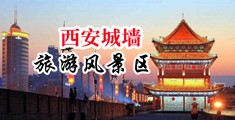 欧美插插色网中国陕西-西安城墙旅游风景区
