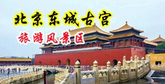 嗯啊啊好爽操死你大鸡巴操我啊啊视频中国北京-东城古宫旅游风景区